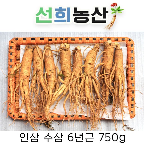 [선희농산] 인삼 수삼 6년근 750g